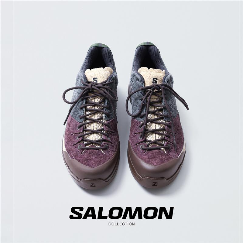 【calif】SALOMON COLLECTION